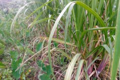 1_photo_2026-04-06_12-31-26