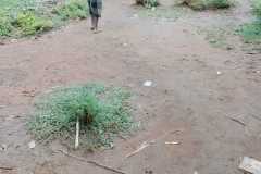 WhatsApp-Image-2026-01-11-at-3.45.07-PM-1-Copy