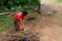 WhatsApp-Image-2026-01-11-at-4.18.35-PM-2