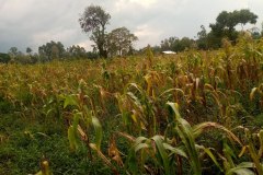 photo_2026-03-09_19-48-00