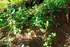 photo_2026-03-09_19-48-04