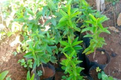 photo_2026-03-09_19-48-08-2