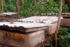 photo_2026-04-06_12-30-11