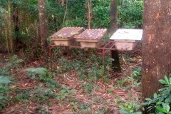 photo_2026-04-06_12-30-18