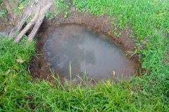 photo_2026-04-06_12-30-55