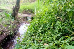 photo_2026-04-06_12-31-05