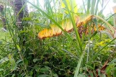 photo_2026-04-06_12-31-15