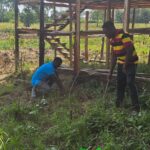 whatsapp image 2025 12 28 at 9.18.55 pm (1)