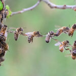 istockphoto 478066390 612x612