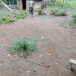 whatsapp image 2026 01 11 at 3.45.09 pm (1)