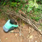 whatsapp image 2026 01 11 at 4.18.38 pm (3)